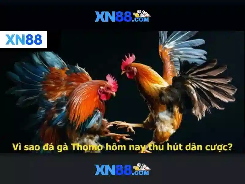 💎xoilac cá cược💎