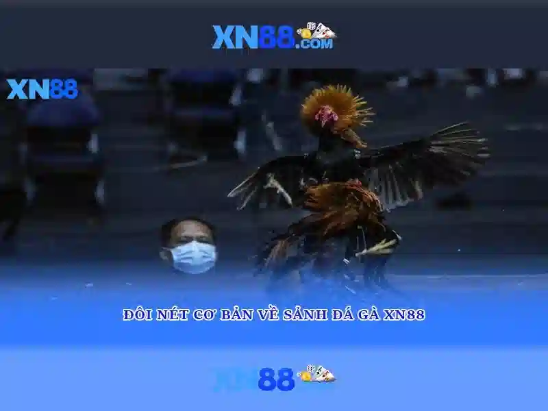 💎xn88 535💎