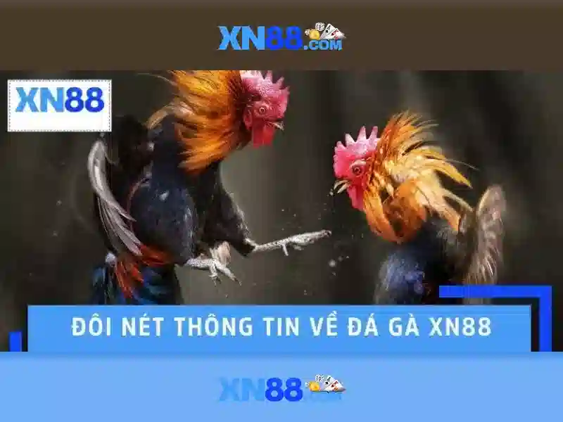 💎888slot games free bonus💎