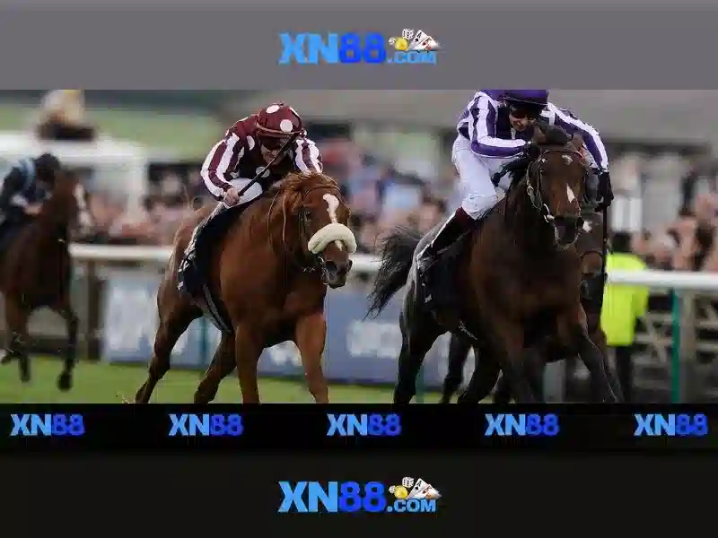 💎xn88 slot biography💎