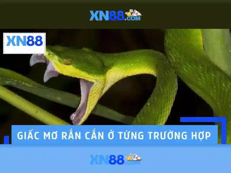 💎kèo nhà cái cup c2💎