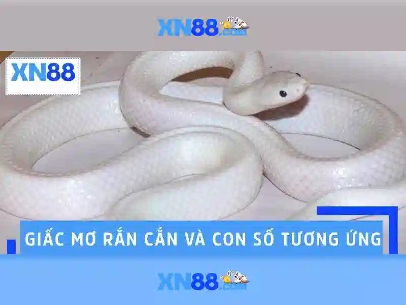 💎bai mua bac song doi doi💎