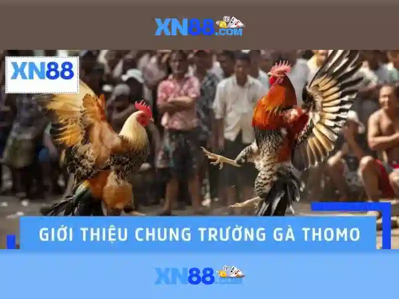💎nha cai uy tin top 10💎