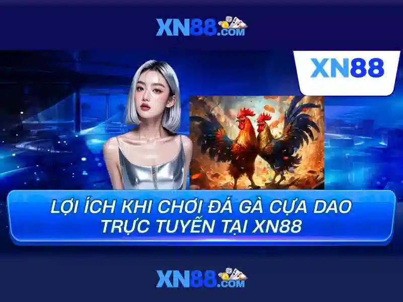 💎ảnh cá cược bóng đá💎