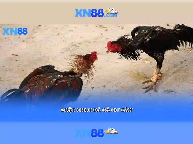 💎tr88 slot login💎