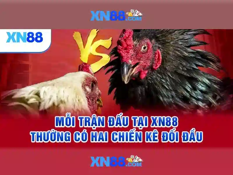 💎bóng đá hôm nay kèo nhà cái trực tuyến💎