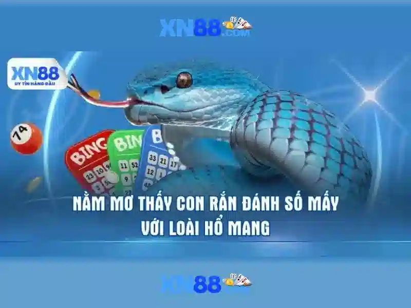 💎top 5 web nhà cái uy tín có💎