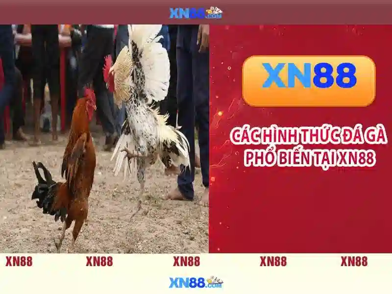 💎888 slot nổ hũ💎