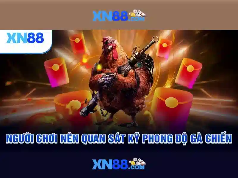 💎xem ca cuoc bd💎