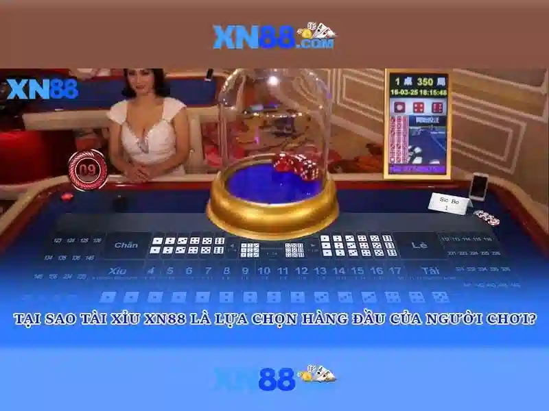 💎v7 ca cuoc💎