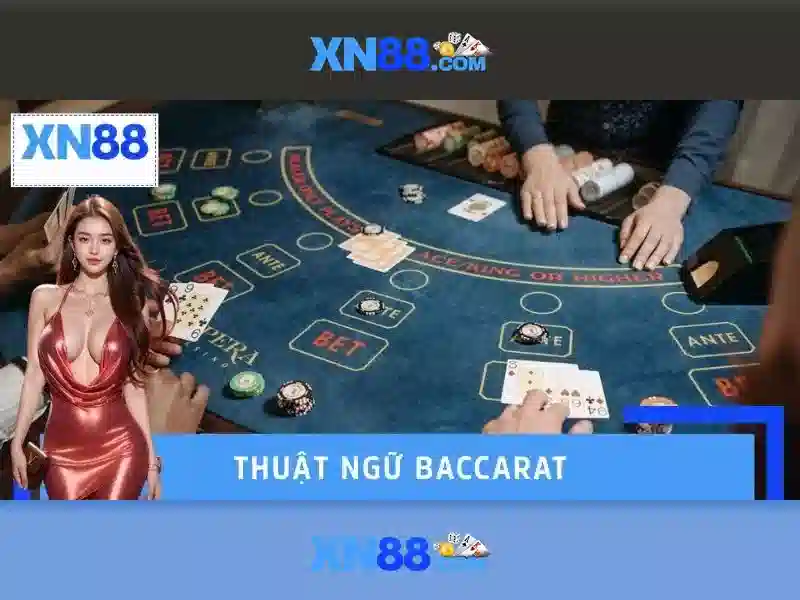 💎xn88 sân chơi💎