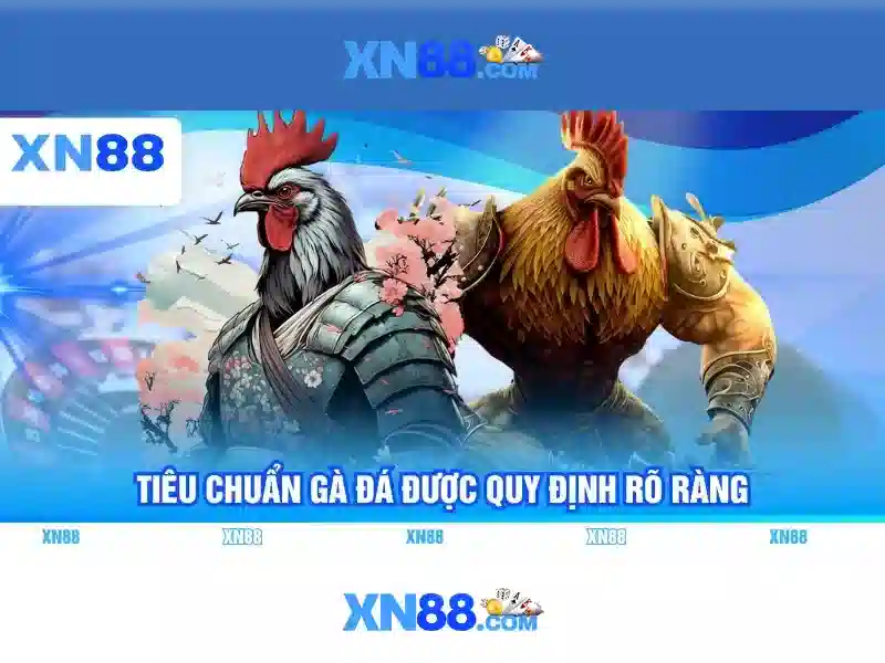 💎bồ đào nha đã đăng cai world cup chưa💎