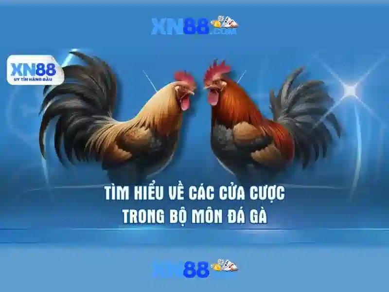 💎trang mạng cá cược vnloto💎