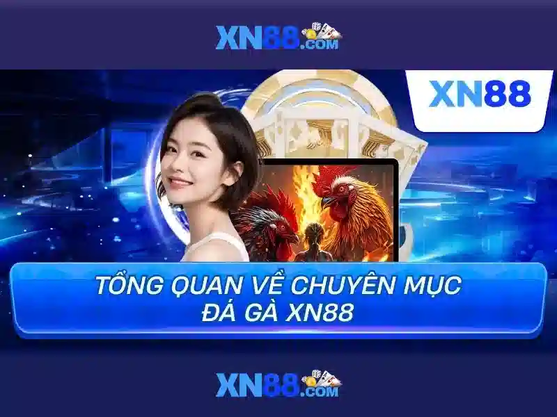 💎bsport bet - nhà cái the thao uy tín💎