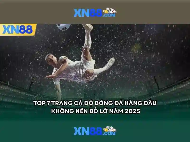 💎trang cá cược bóng đá 246💎