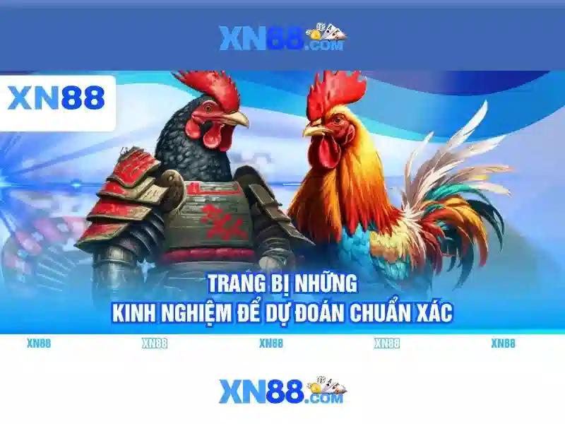 💎soi cau nha cai💎