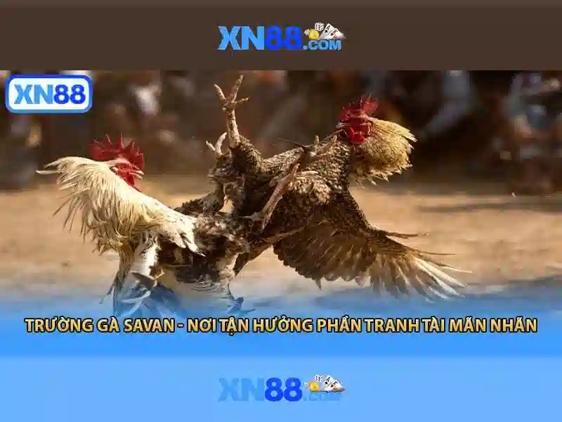💎nhà xe bảo yên - lào cai💎