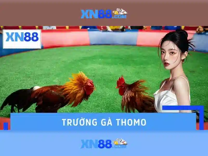 💎xn88 casino com💎