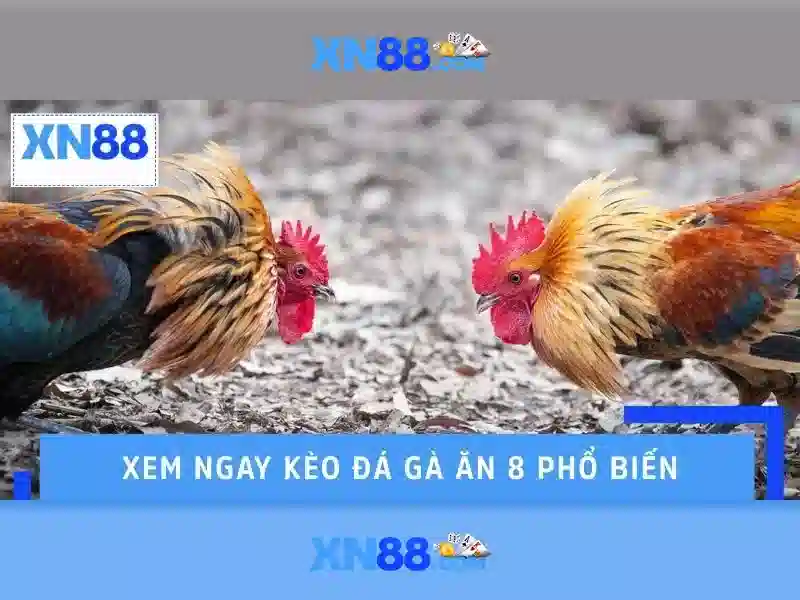 💎ư88 nhà cái💎