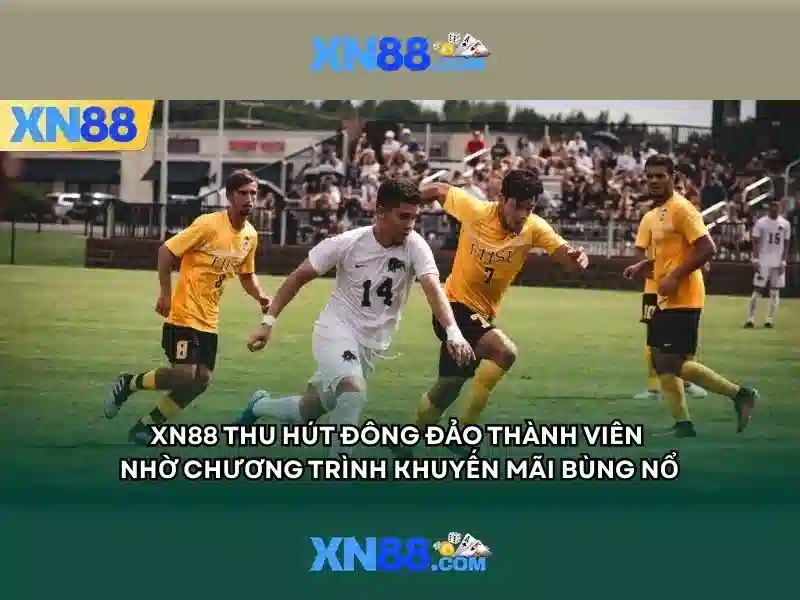 💎tỉ số cá cược💎