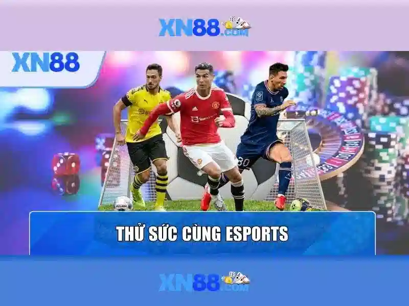 💎nhà cái số đỏ có uy tín không💎
