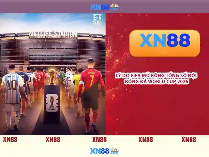 💎thả thiên nga sông tam bạc💎
