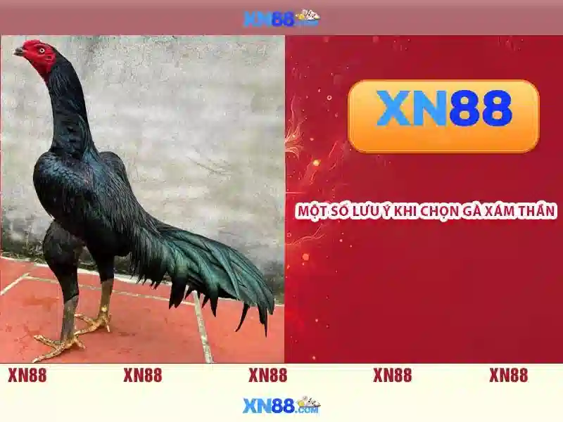 💎hủy tất cả các gói cước của mobifone💎