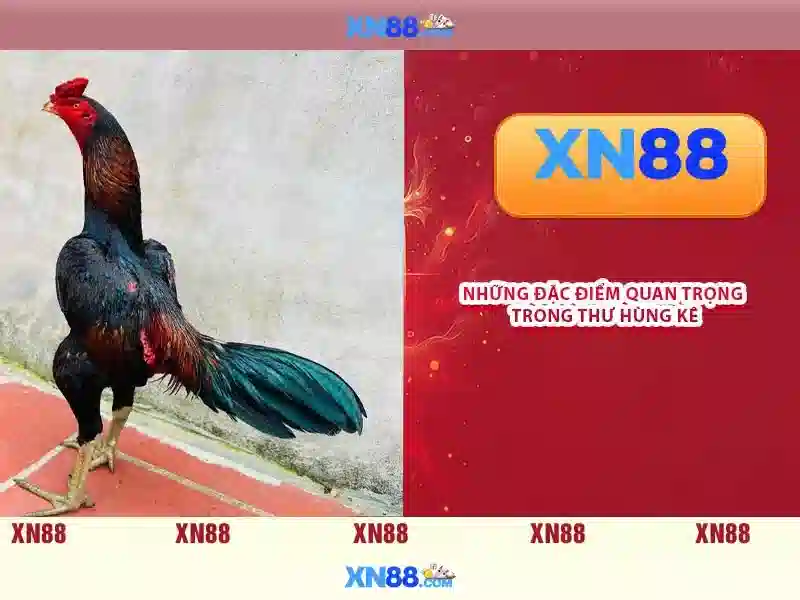 💎nhà cái uy tính onlinecasinohub.us💎