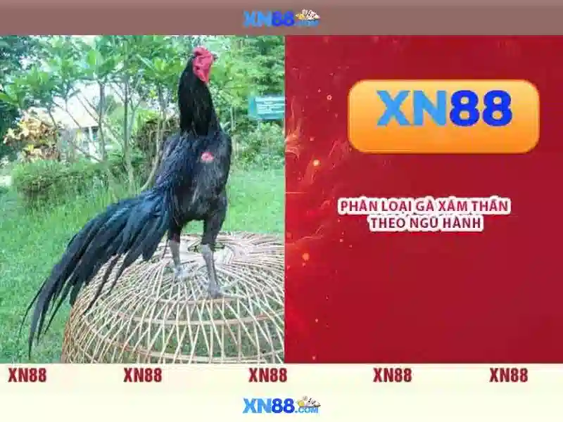 💎cách đánh bạc trên mạng💎