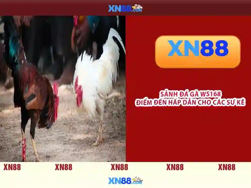 💎nha cai khuyen mai 100k💎