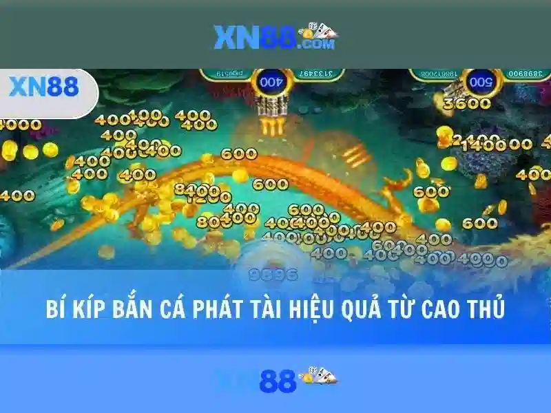💎cuoc doi cua duc phat thich ca💎