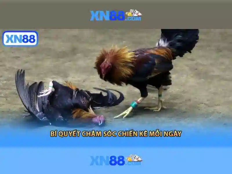 💎thực dân pháp đánh chiếm bắc kỳ vào💎