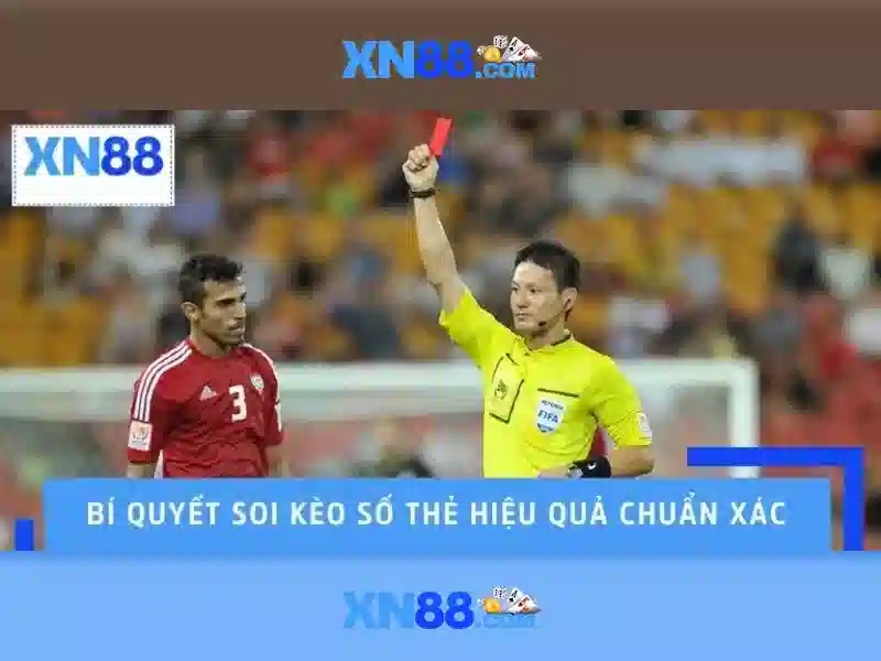 💎cá cược bóng đá cadobongda💎