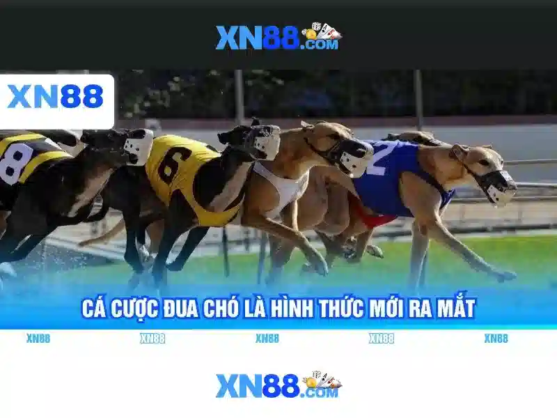 💎đánh bạc bắn chết 4 người💎