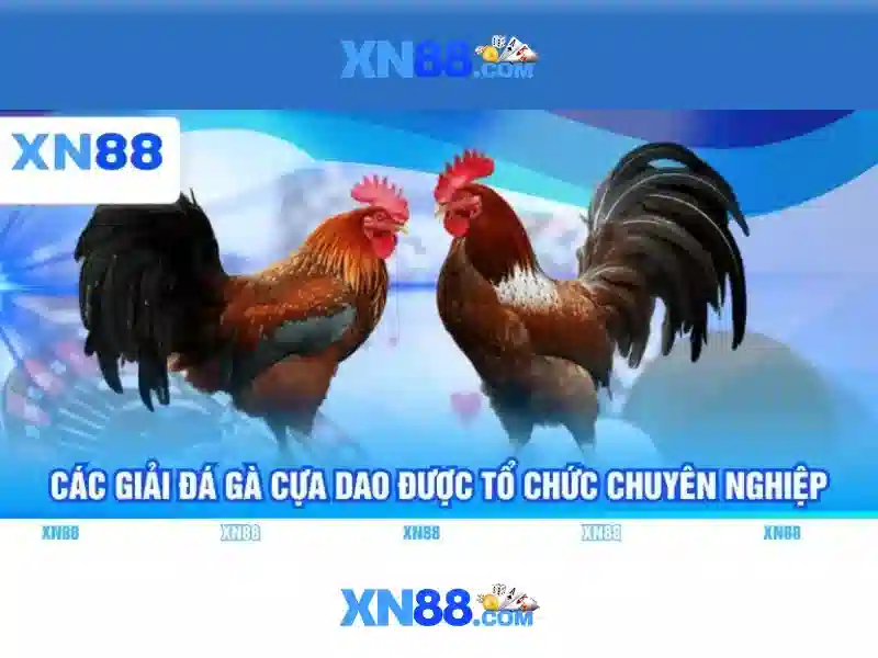 💎cài phần mềm tại nhà quận 12💎