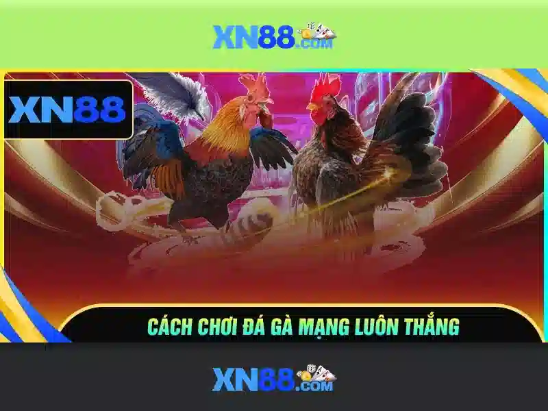 💎ruben amorim 888slot slot💎