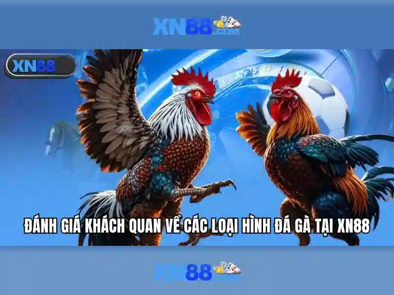 💎play online slots videopoker💎