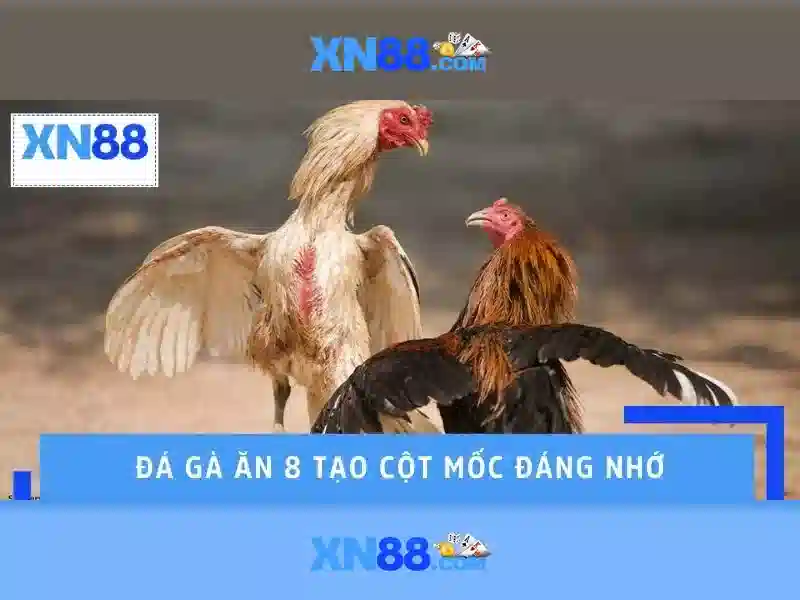💎nếu đánh bạc mà có kiến thức💎