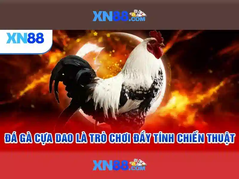 💎những nhà cái uy tín nhất thế giới atcb💎