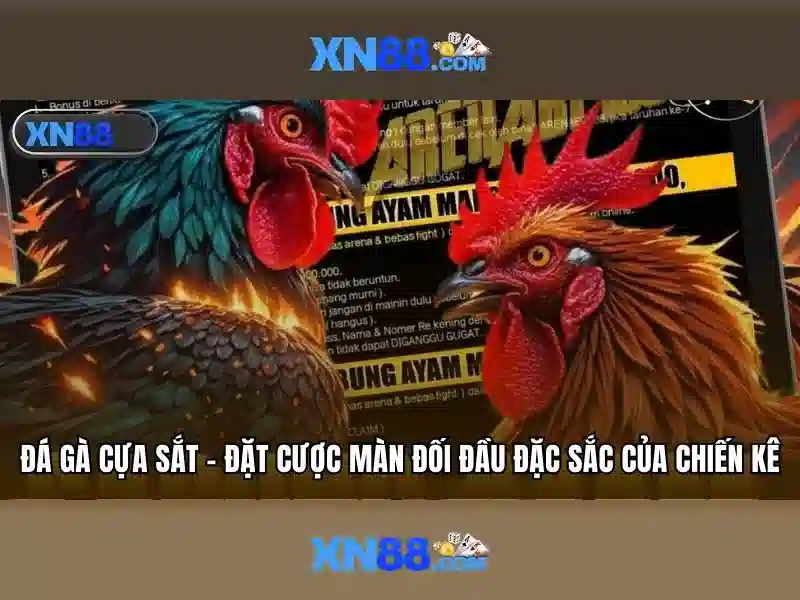 💎đang bật cài đặt của nhà phát triển💎