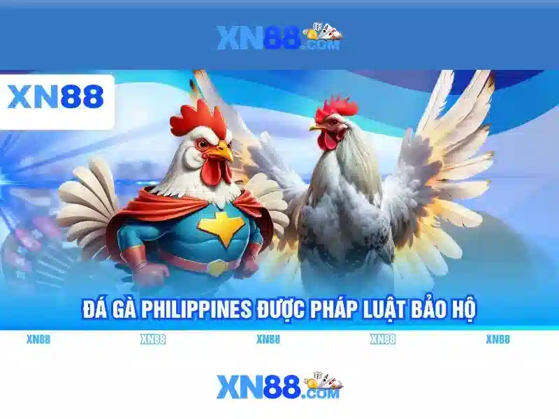 💎đánh bạc ăn tiền nghị định 167💎