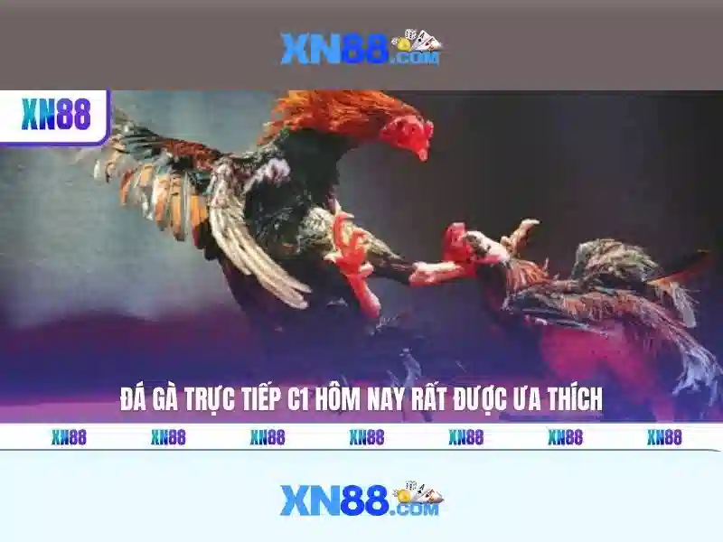 💎tuganov cá cược💎