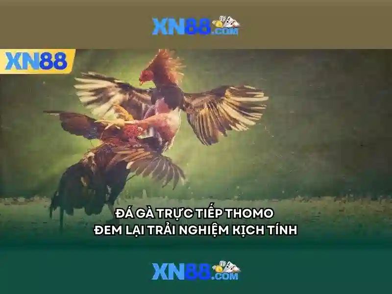 💎188bet nhà cái cá💎
