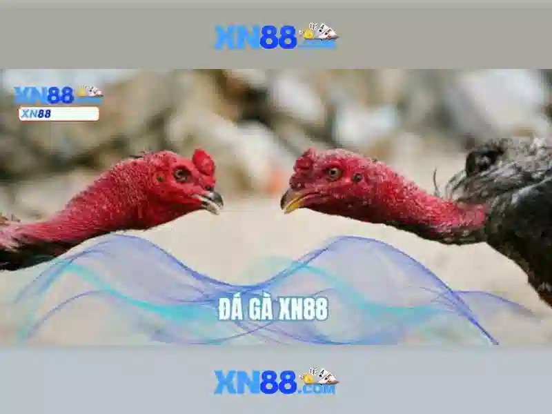 💎nha cai uy tin .vote💎