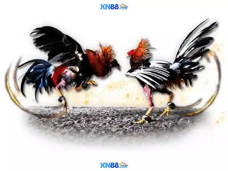 💎bác hồ chăm lo đời sống nhân dân💎