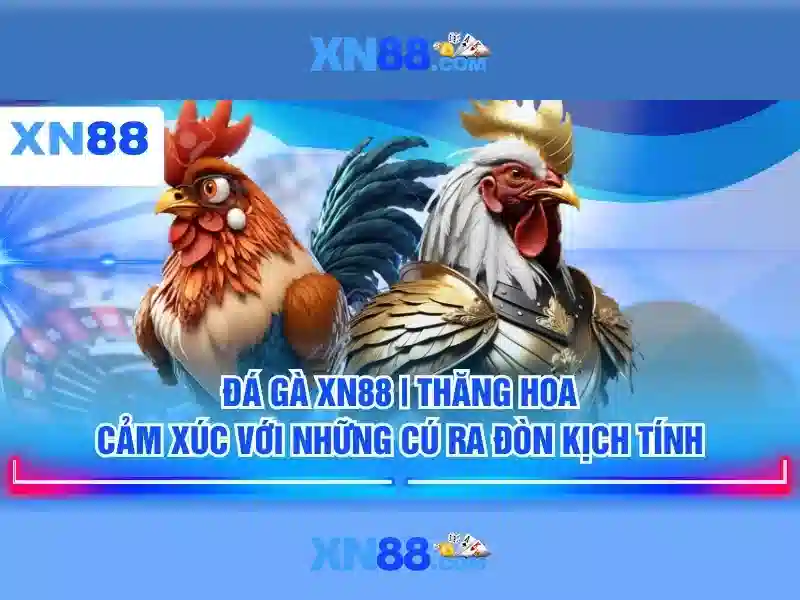 💎xn88 slot coaching team💎