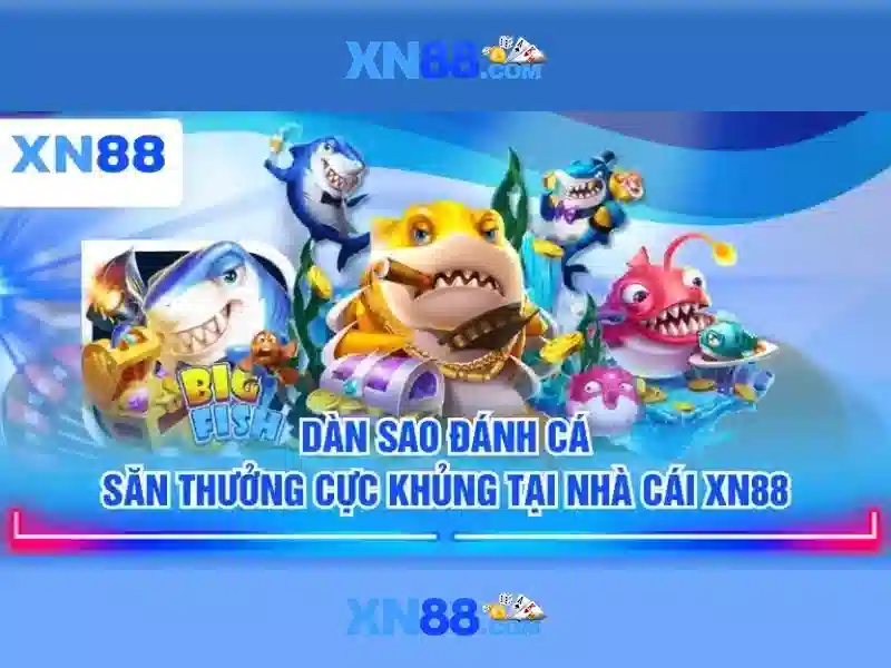 💎cá cược an tiền💎