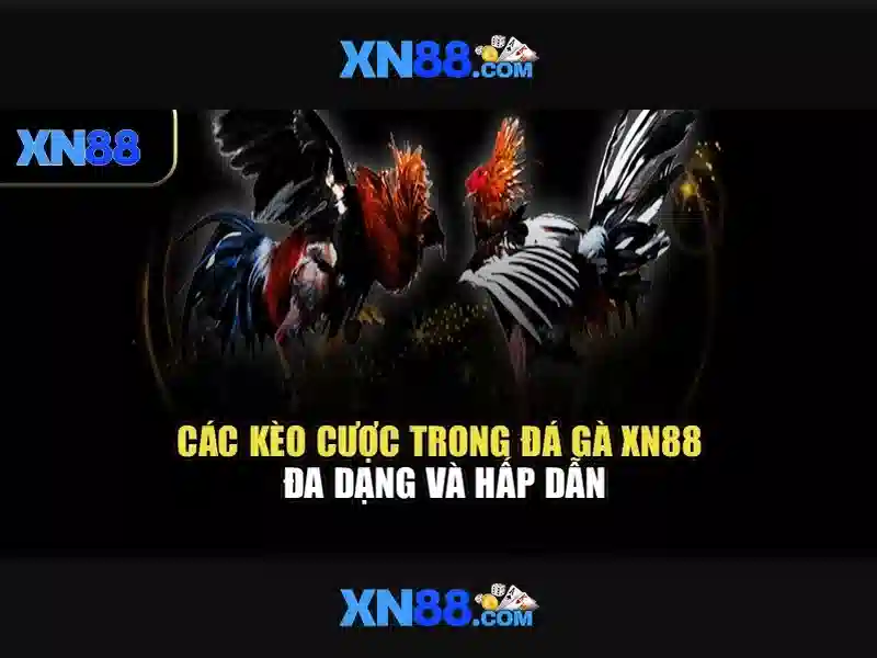 💎188v win💎 - 188v dang nhap - 188v có hợp pháp không