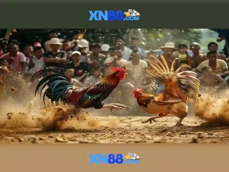 💎nhà cái khuyến mãi mới💎