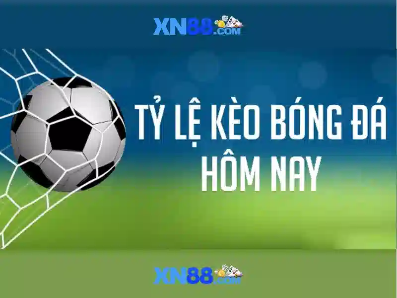 💎thế lưỡng nan của nhà cải tiến tiki💎